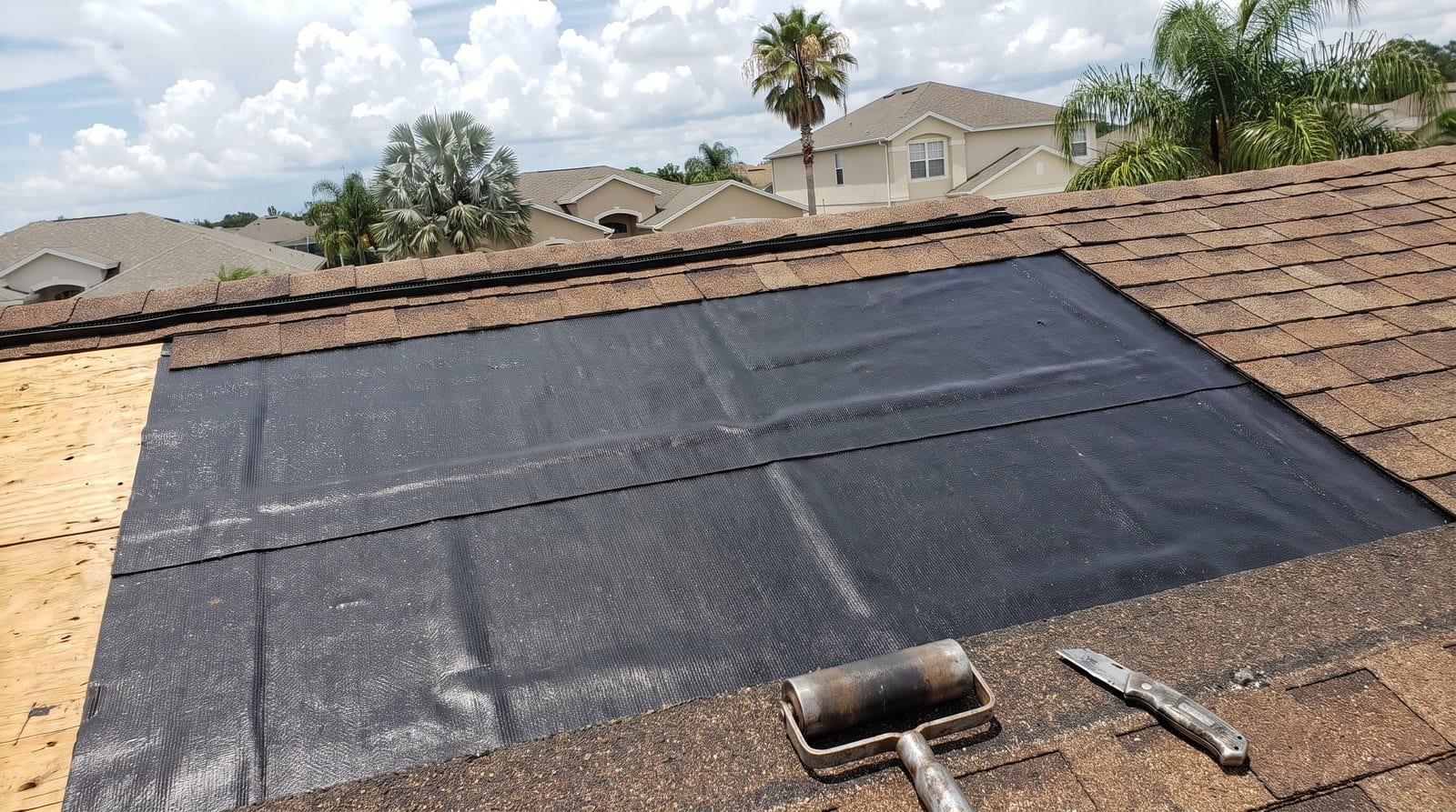 Self-adhering peel-and-stick membrane rolled over exposed roof decking with the shingle course above it lifted, the dry-in we install instead of an emergency roof tarp