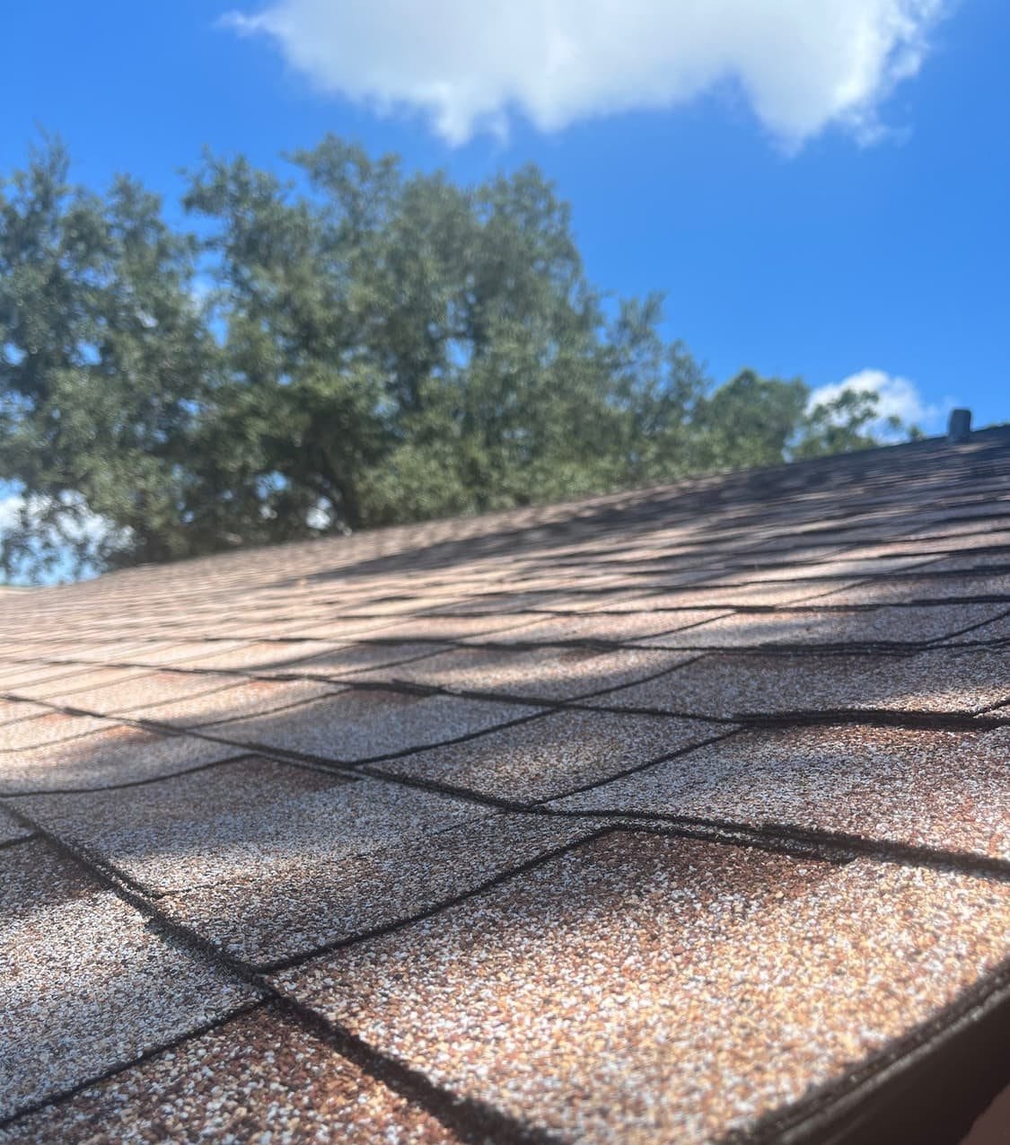 New architectural shingle roof on a Pinellas Park, FL home by Integrity Roofing of Florida