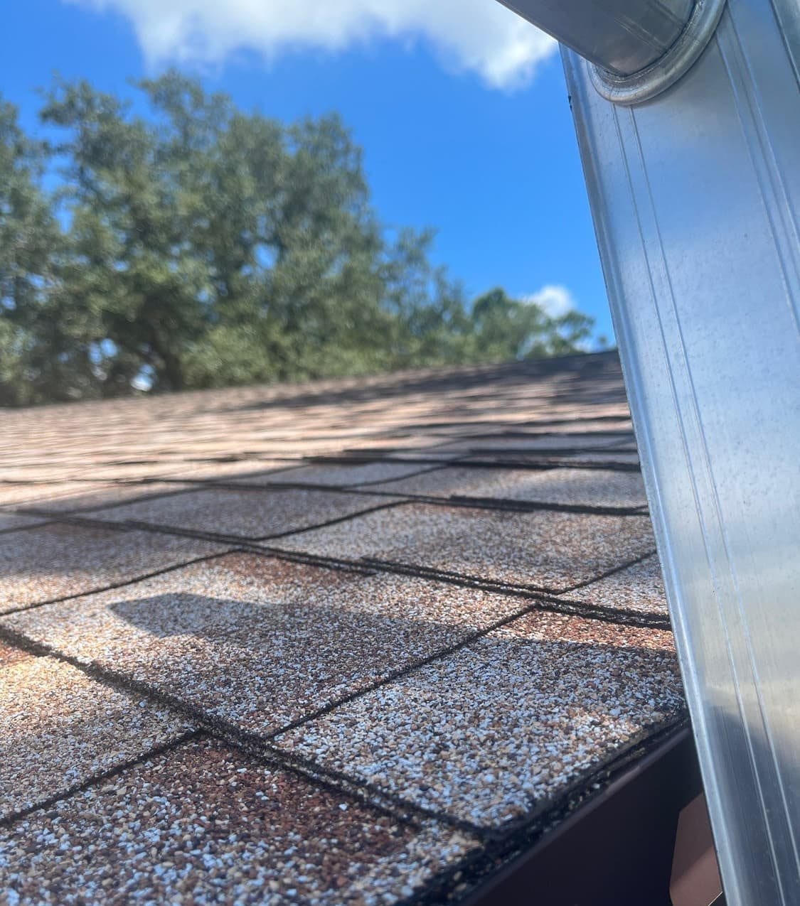 New architectural shingle roof on a Pinellas Park, FL home installed by Integrity Roofing of Florida