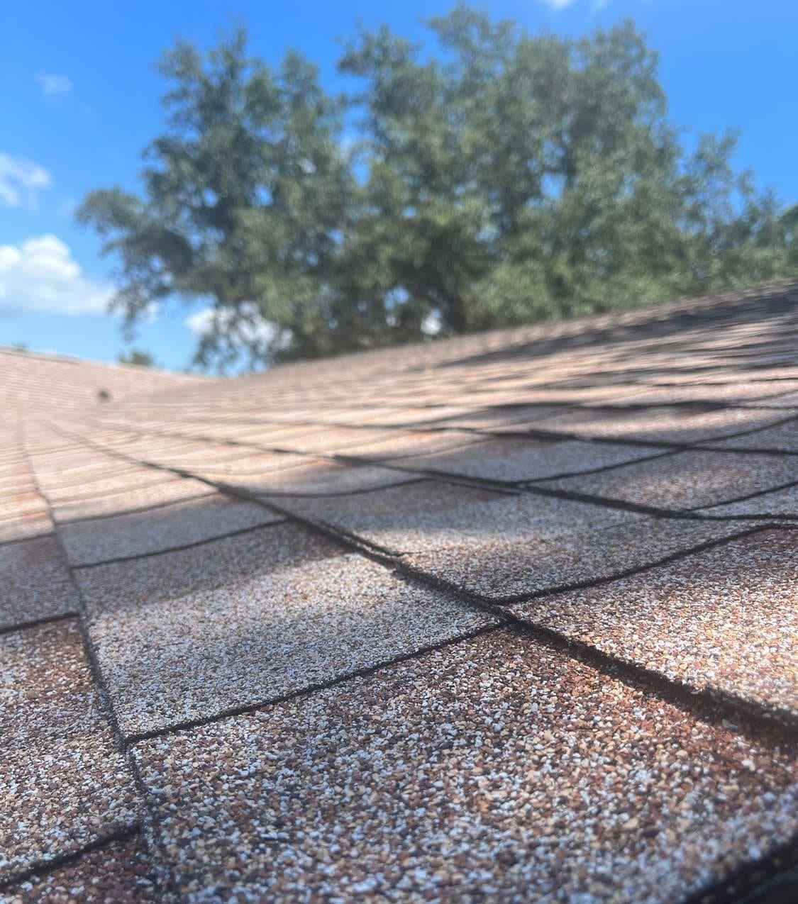New architectural shingle roof on a Pinellas Park, FL home installed by Integrity Roofing of Florida