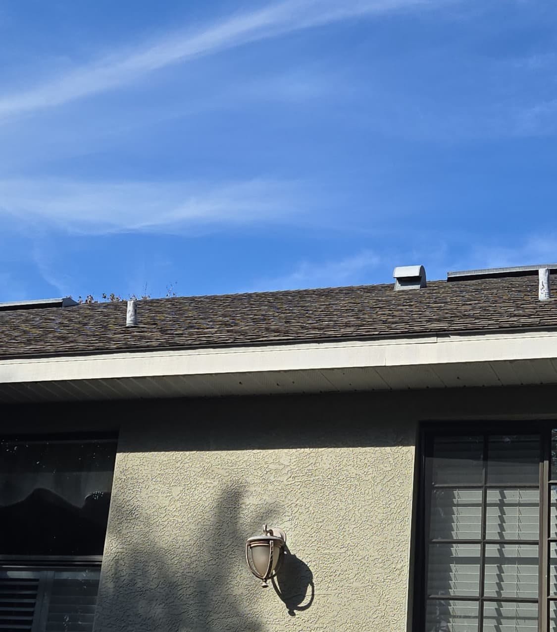 New architectural shingle roof on a Safety Harbor, FL home installed by Integrity Roofing of Florida